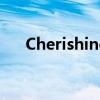 CherishingLifeLoveY（cherishing）