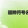 翅膀符号名字是什么（翅膀符号名字）