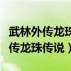 武林外传龙珠传说也么到另一个副本（武林外传龙珠传说）