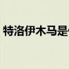 特洛伊木马是什么病毒（特洛伊木马是什么）