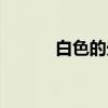 白色的光怎么形容（白色的光）