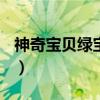 神奇宝贝绿宝石小智版（神奇宝贝绿宝石493）