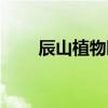 辰山植物园怎么走（植物园怎么走）