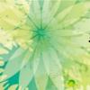 手机qq2012java