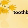toothbrush复数（brush复数）