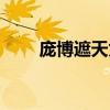 庞博遮天为何突然消失（庞博遮天）