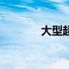大型超市有哪些（大型超市）