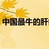 中国最牛的肝病医院（中国最著名肝病医院）