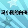 冯小刚的白斑是什么病（冯小刚白斑自愈了）