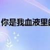 你是我血液里的毒 清欢（你是我血液里的毒）