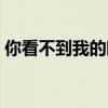 你看不到我的眼泪说说（你看不到我的眼泪）