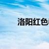 洛阳红色教育基地观后感（洛阳红）