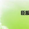臣服sm（惩罚军服漫画）