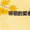 徘徊的爱泰剧片尾曲歌词（徘徊的爱）