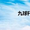 九球杆品牌排行榜（九球杆）