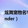 炫舞宠物名字大全霸气（炫舞宠物名字alexander）