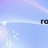 roi是什么意思（roi）