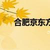 合肥京东方是做什么的（合肥京东方）
