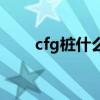 cfg桩什么意思中文（cfg桩是什么）