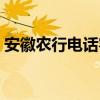 安徽农行电话客服电话（农行电话客服电话）