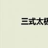 三式太极拳全套演练（三式详解）