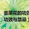 韭菜花的功效与禁忌韭菜花怎么吃（韭菜花的功效与禁忌）