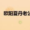 欧阳夏丹老公陆晨简介（欧阳夏丹的老公）