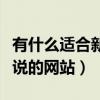 有什么适合新手写小说的网站（适合新手写小说的网站）
