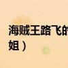 海贼王路飞的姐姐是好人吗（海贼王路飞的姐姐）