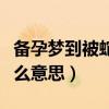备孕梦到被蛇咬是什么意思（梦到被蛇咬是什么意思）