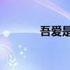 吾爱是谁 电视剧（吾爱是谁）