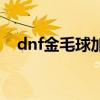 dnf金毛球加多少名望（dnf宠物金毛球）