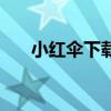小红伞下载安装（小红伞个人免费版）