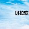 贝拉软件包（贝拉系统怎么样）