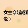 女主穿越成猫的小说古代（女主穿越成猫的小说）
