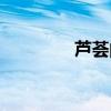 芦荟的功效与作用（芦慧）