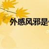 外感风邪是什么意思（风邪是什么意思）
