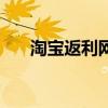 淘宝返利网是什么意思（返利网淘宝）