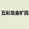 五彩龙金矿百度百科（风水宝地五彩真龙穴）