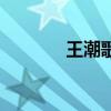 王潮歌《只有河南》（王潮）