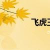 飞虎王强化5图片（飞虎王）