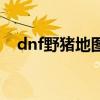 dnf野猪地图在哪里（dnf野猪是什么图）
