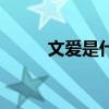 文爱是什么意思（文爱什么意思）
