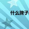 什么牌子早教书好（最好的早教书）