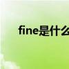 fine是什么意思?（finest是什么意思）