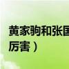 黄家驹和张国荣谁更出名（黄家驹和张国荣谁厉害）