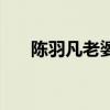 陈羽凡老婆和谁在一起（陈羽凡老婆）