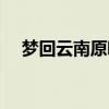 梦回云南原唱是谁唱的（梦回云南原唱）