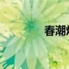 春潮烂漫海棠红高清完整版