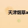 天津烟草app（天津市烟草网上订货）